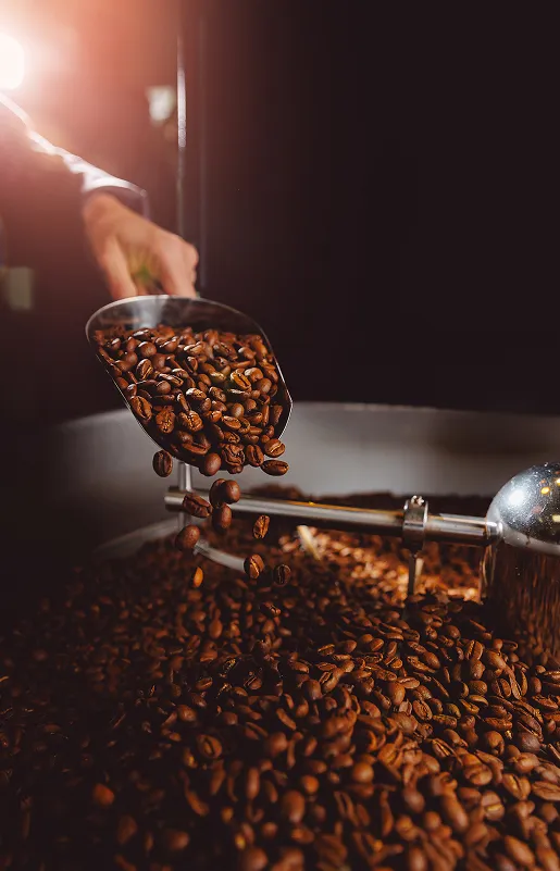 vente de café en grain à Saint-Amand-Montrond près de Bourges dans le Cher 18